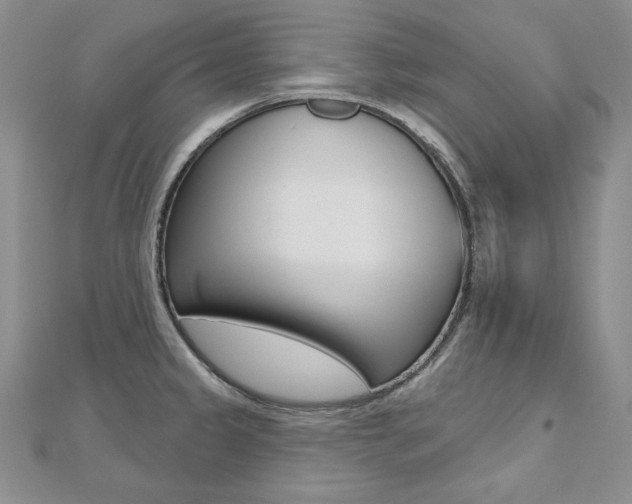 X0000112481333200908171004