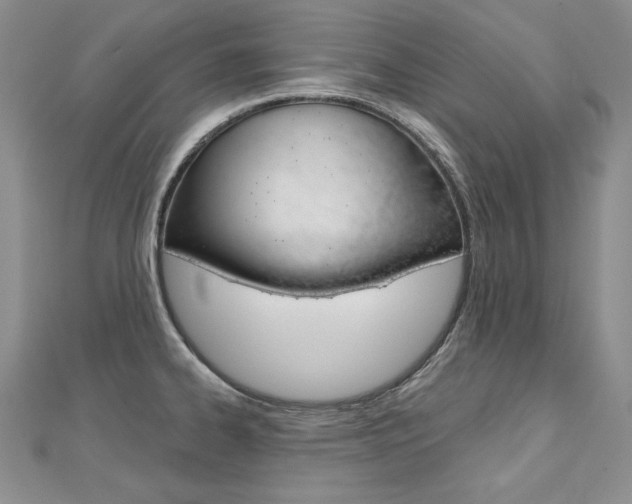X0000112481334200908171004