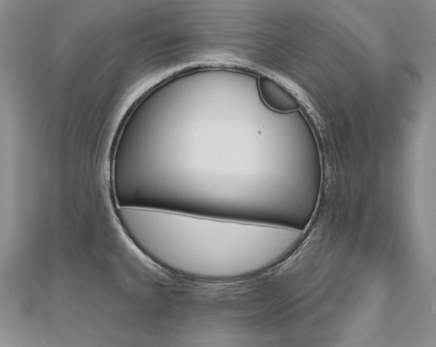 X0000112481335200908171004