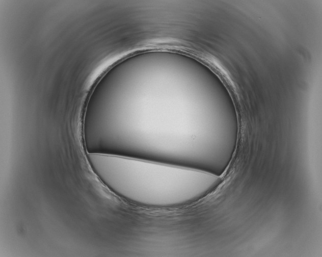 X0000112481336200908171004