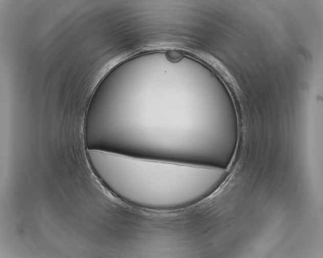 X0000112481337200908171004