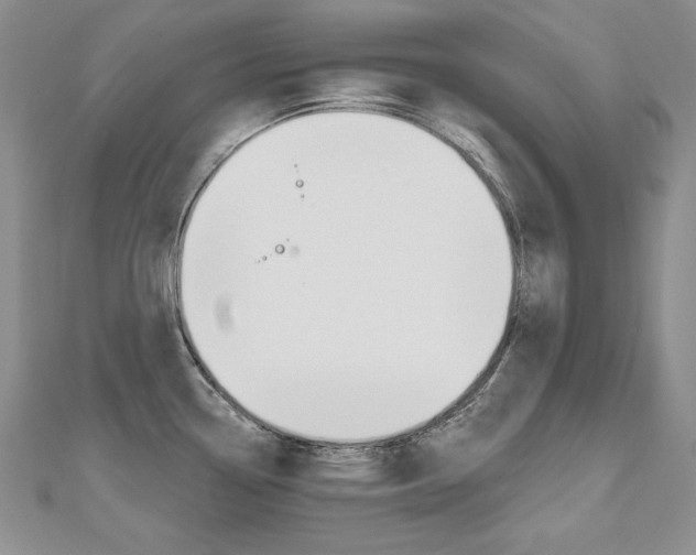 X0000112481338200908171004