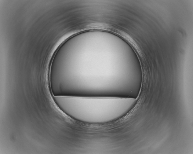 X0000112481339200908171004