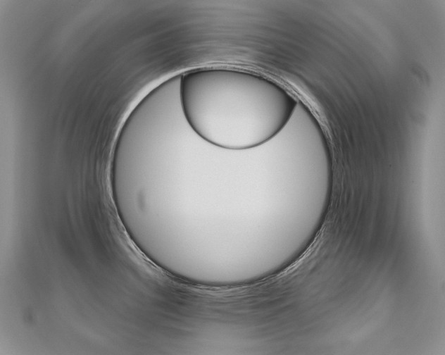 X0000112481340200908171004