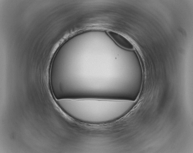 X0000112481341200908171004