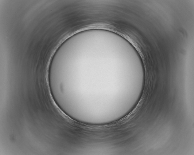 X0000112481342200908171004
