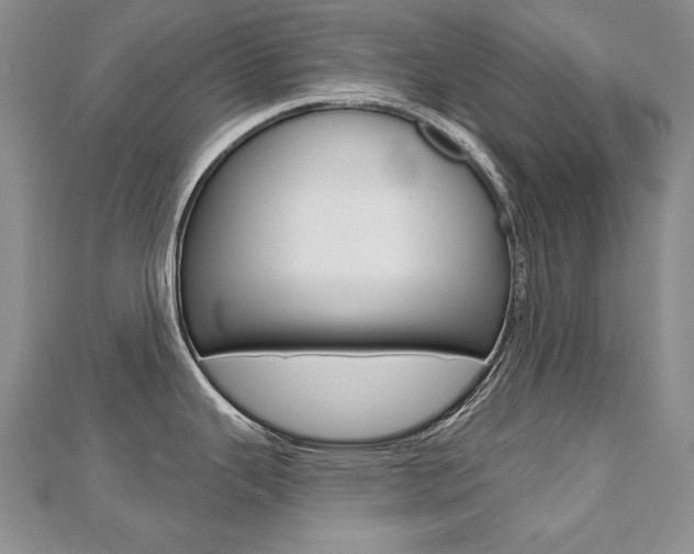 X0000112481343200908171004