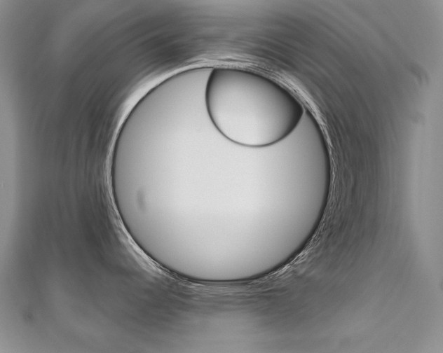 X0000112481344200908171004