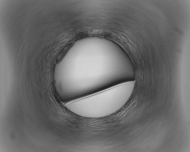 X0000112481345200908171003