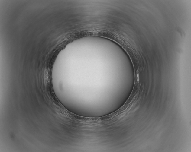X0000112481347200908171003