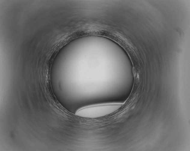 X0000112481348200908171003