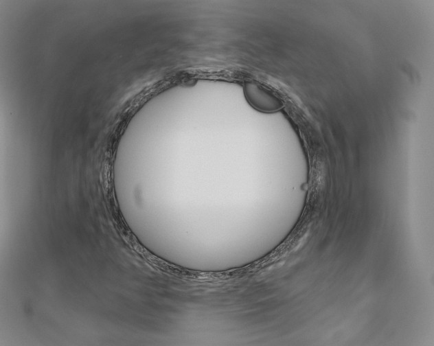 X0000112481350200908171003