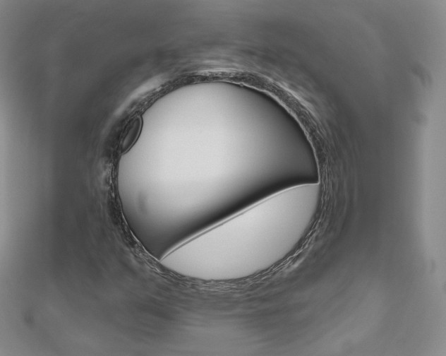 X0000112481351200908171003