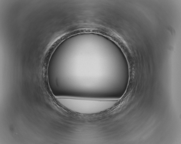 X0000112481352200908171003