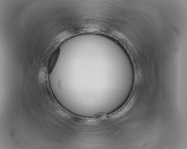 X0000112481353200908171003
