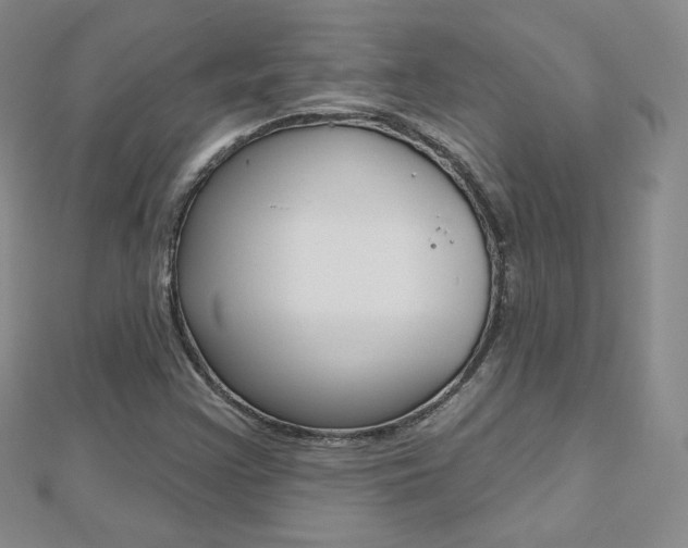 X0000112481355200908171003