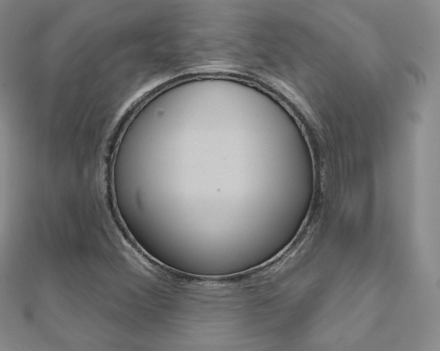 X0000112481356200908171003
