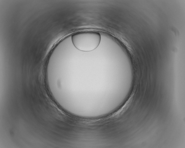 X0000112481357200908171003