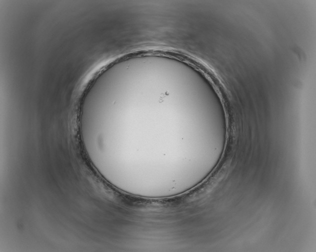 X0000112481359200908171003
