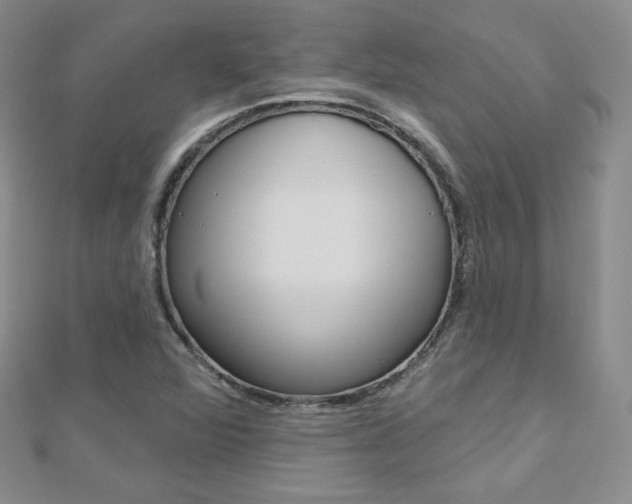 X0000112481360200908171003
