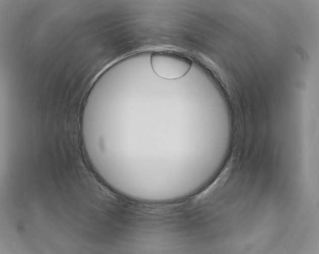 X0000112481361200908171003