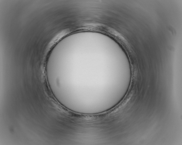 X0000112481362200908171003