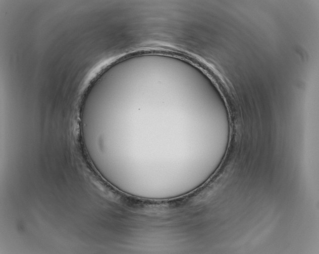 X0000112481363200908171003