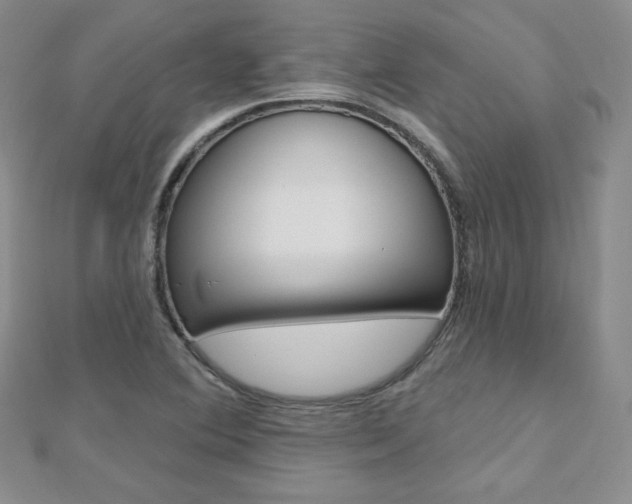 X0000112481364200908171003
