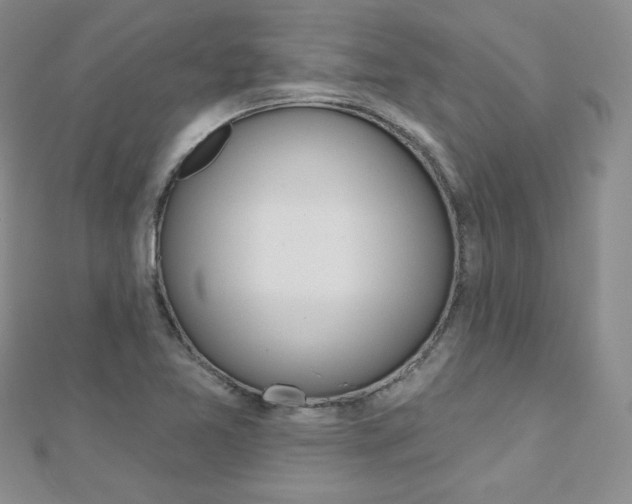 X0000112481365200908171003