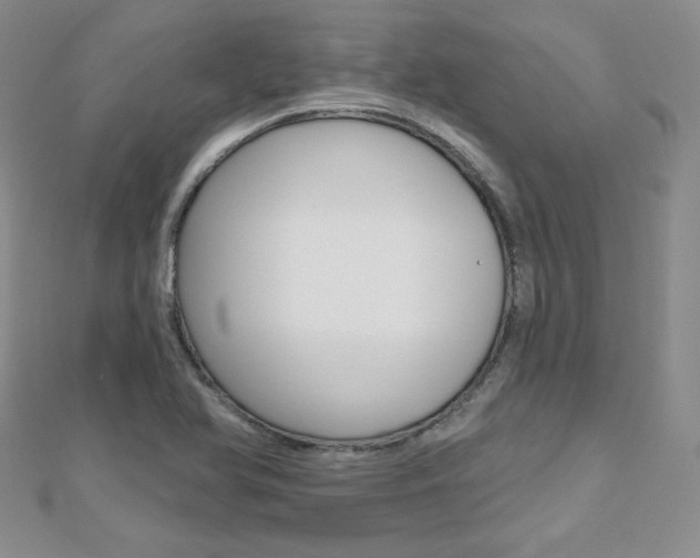 X0000112481366200908171003