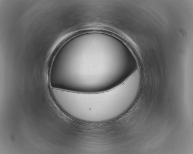 X0000112481368200908171003