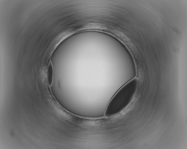 X0000112481369200908171003