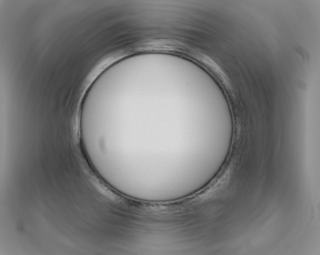 X0000112481370200908171003