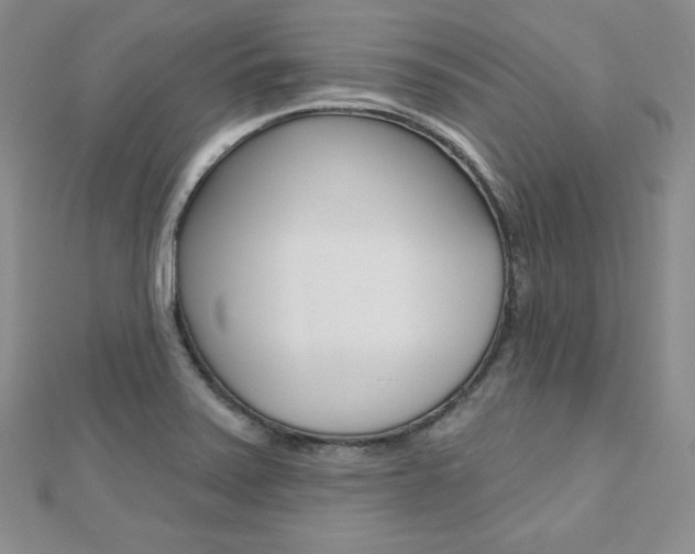 X0000112481371200908171003