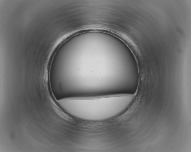 X0000112481372200908171003