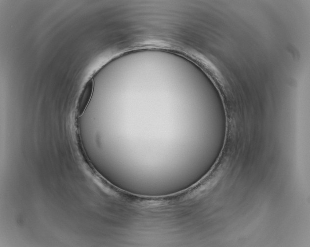 X0000112481373200908171003