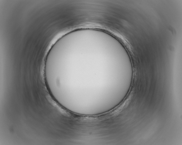 X0000112481374200908171003