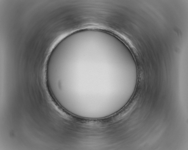 X0000112481375200908171003