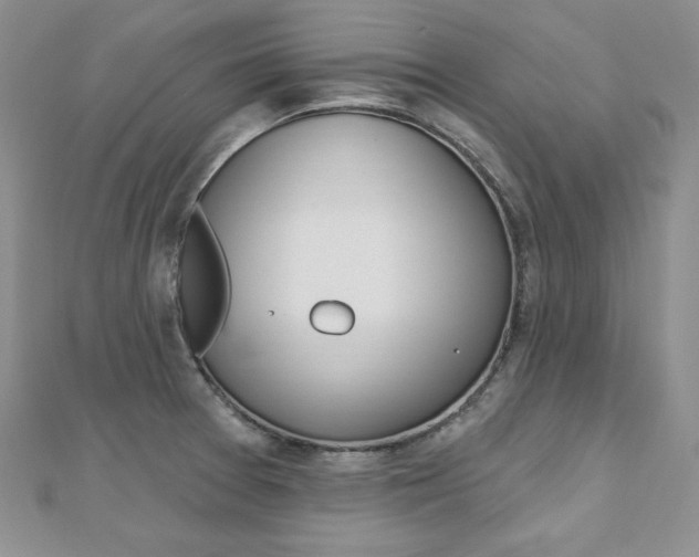 X0000112481377200908171003