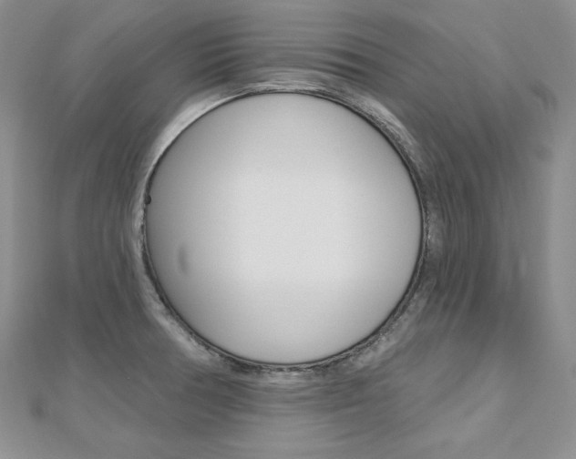 X0000112481378200908171003