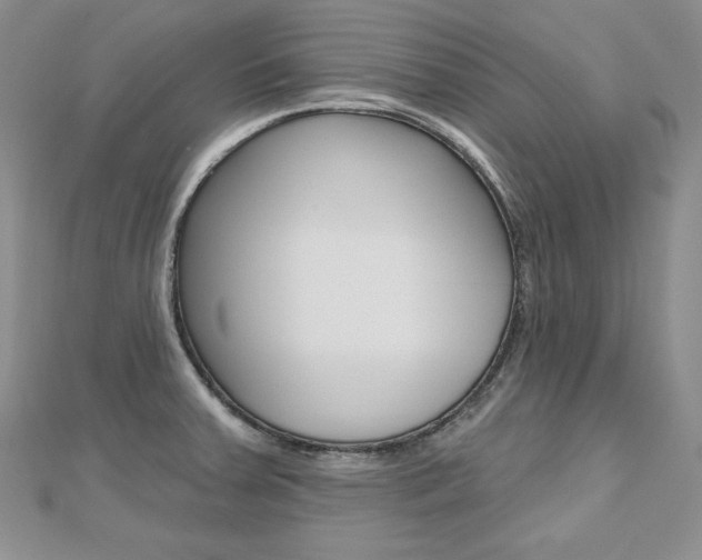 X0000112481379200908171003
