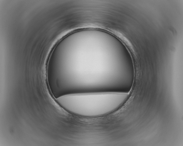 X0000112481380200908171003