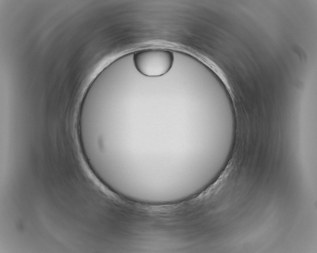 X0000112481381200908171003