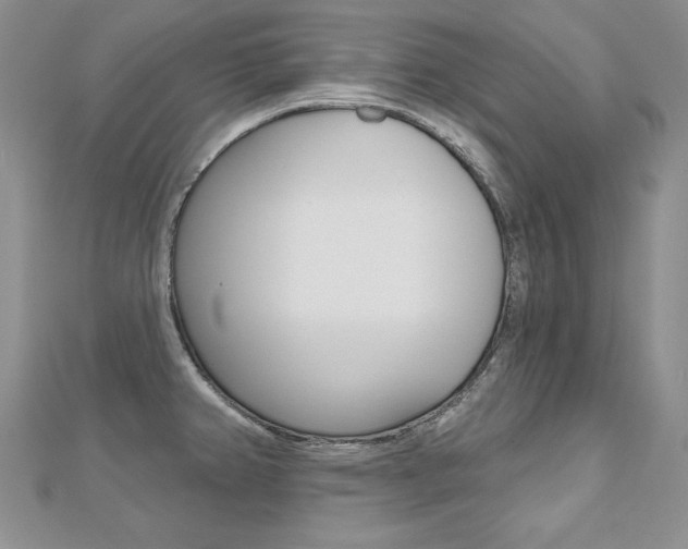 X0000112481382200908171003