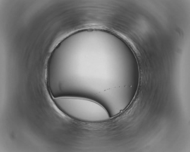 X0000112481383200908171003