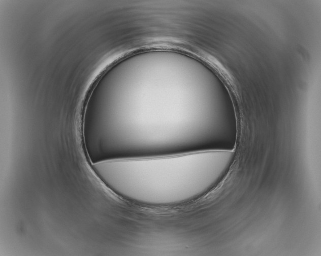 X0000112481384200908171003