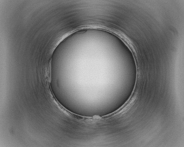 X0000112481385200908171003