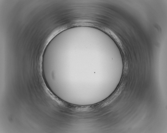 X0000112481386200908171003
