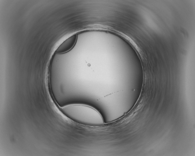 X0000112481387200908171003