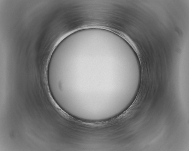 X0000112481388200908171003
